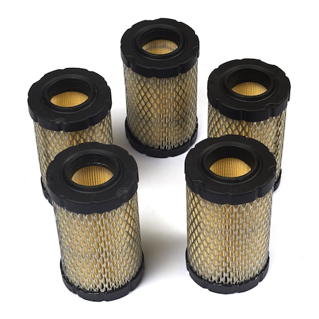 Briggs & Stratton Air Filter 4243